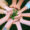Cover picture flyer small